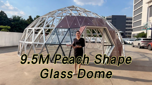 RAXDOME Unique 9.5M Heart Shape Glass Zome Dome Tent
