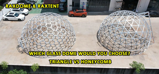 Which Glass Dome Would You Choose? Triangle vs Honeycomb
