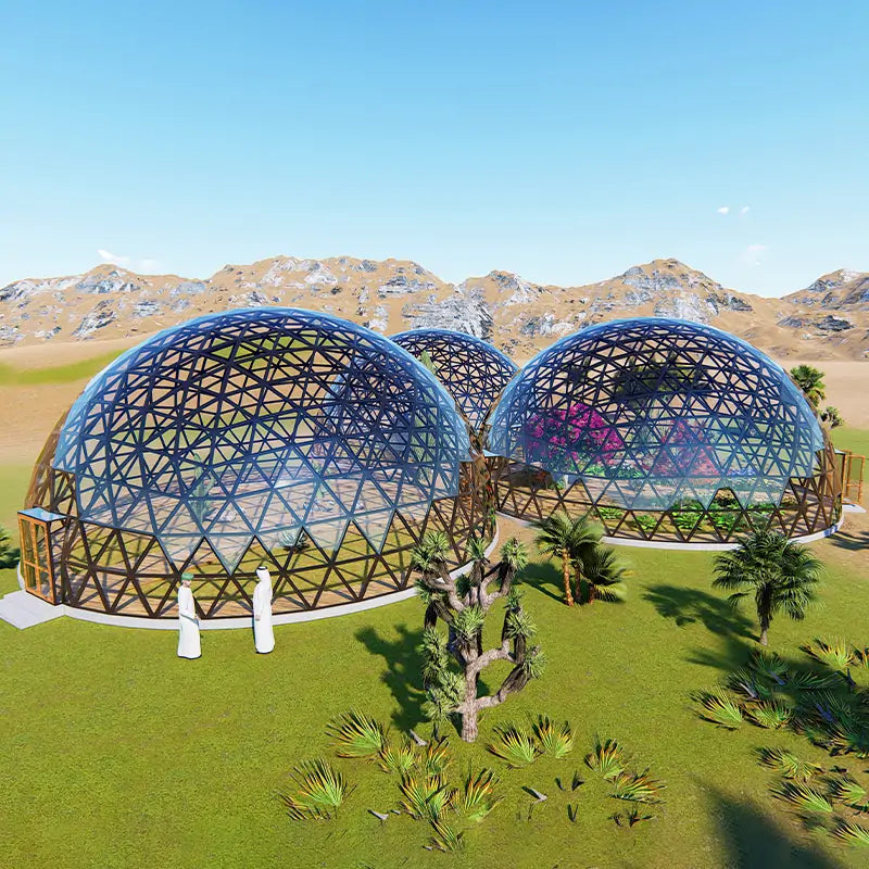 RAXTENT 12M 15M 20M Biodome Large Connected Glass Dome House