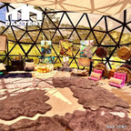 10m glass geodesic dome for art studio